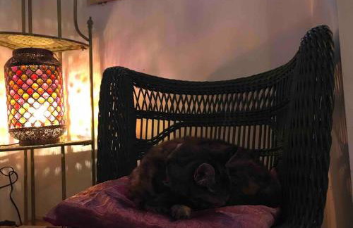 Priory Meadow Cottage - Foto 24