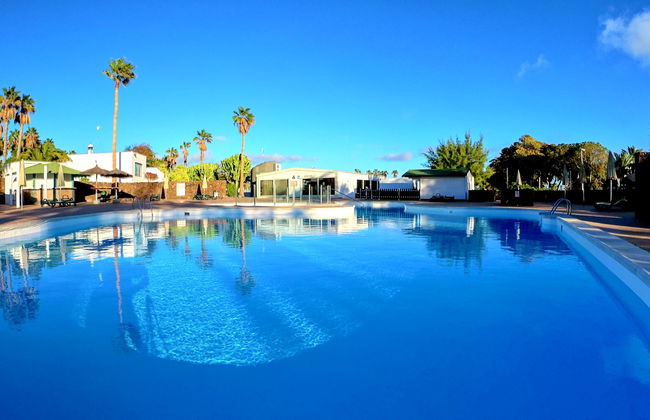 Palmeras Garden - Foto 1