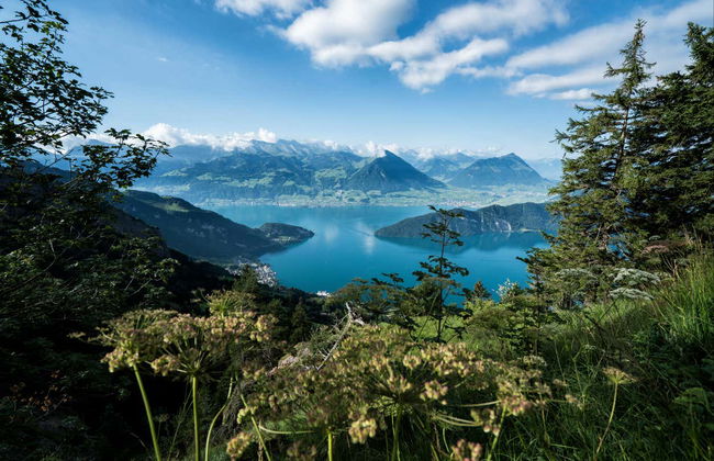 Mount Rigi Day Pass - Foto 6