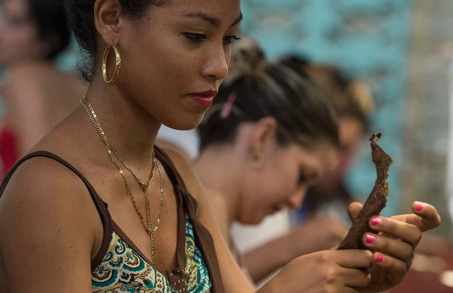 Tour do tabaco, do rum e do açúcar - Foto 1