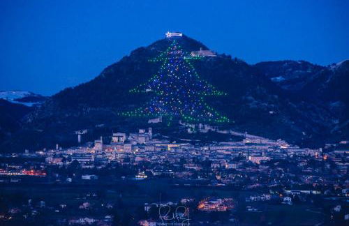 Azienda Agraria Montelujano - Foto 12