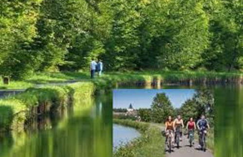 Gîte des étangs - Foto 12