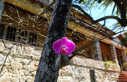 Residencial Flor- Hilda - Foto 29