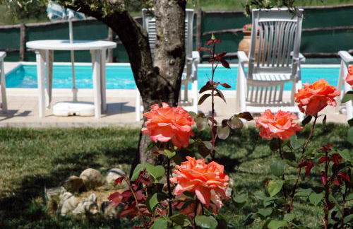 Casale il Colle Deruta - Foto 10