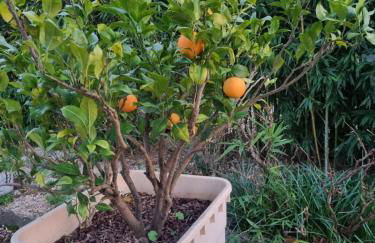 L'Oustalet classé 2 étoiles - Foto 21