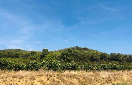 Pavillon les Jardins de la Plage - Photo 16