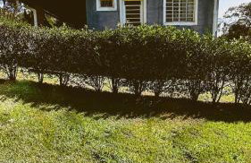 Paraiso da Represa Ibiuna - Foto 22