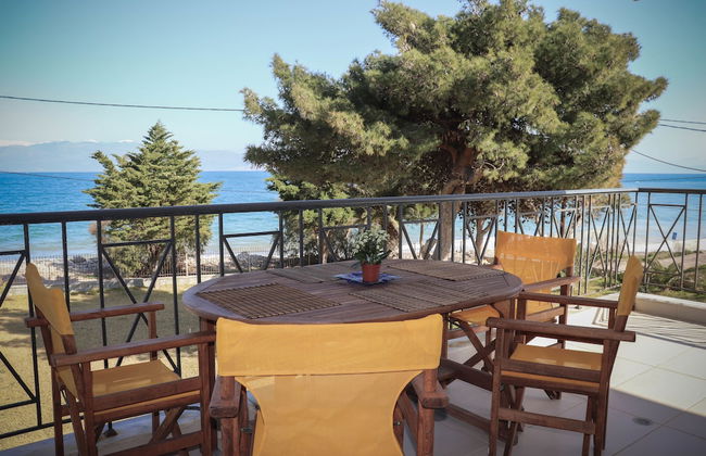 Punda 4 Seasons - Foto 35