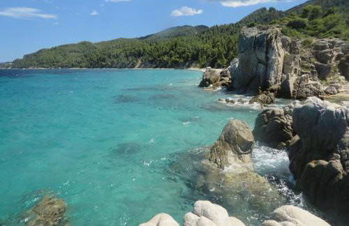 Spacious Villa close to an amazing Sithonia beach - Foto 24