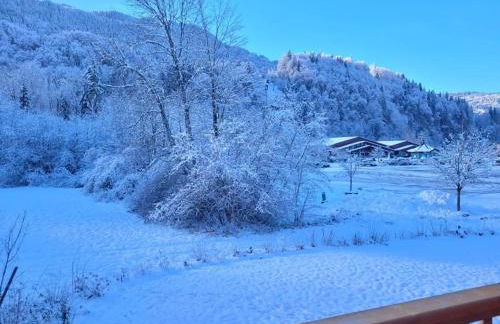 Saskya 5 65m2, 2 bedrooms, next to the ski lift - Photo 23