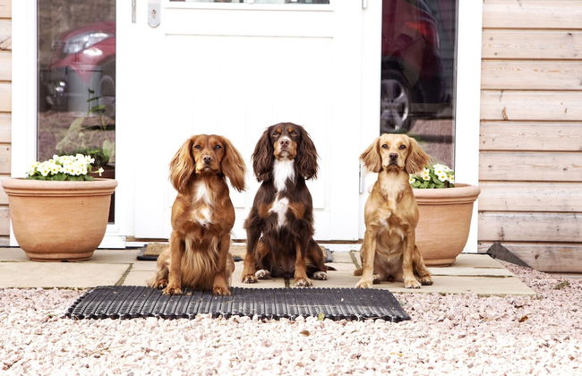 Netherton Farm Lodge - Foto 49