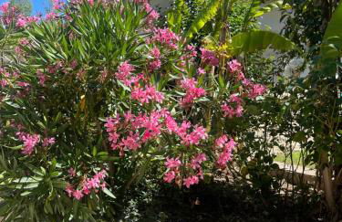 Studio Menthe-Clim-Terrain de pétanque-Piscine collective - Foto 8