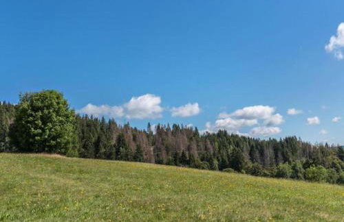 Apartment in Dachsberg-urberg - Foto 60