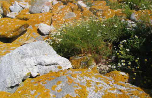 Studio les Trois Etoiles de Mer - Photo 28
