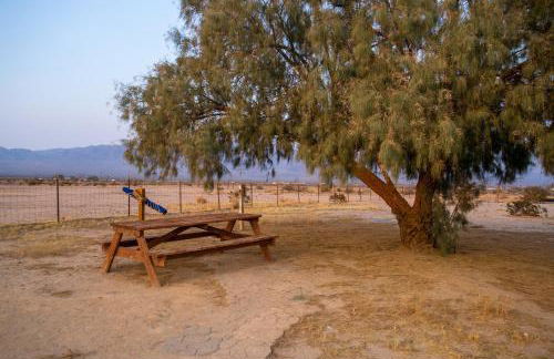 Desert Gem - Foto 19