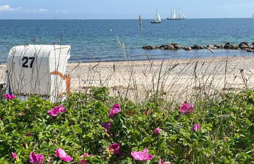 SeeLund - Meeresrauschen lauschen - ruhiges sonniges Apartment mit Garten und Terrasse nahe Strand und Ostsee - Foto 39