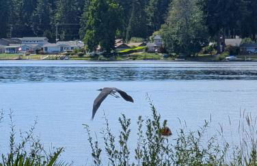 Lux Lakefront Estate, Sandy Beach, Hot Tub, Sauna, Dock, Treehouse & Deck - Foto 22