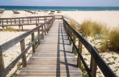 Casa Marques - Photo 8