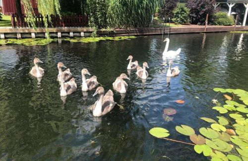 Ferienhäuschen direkt am Wasser inklusive 2 Boote - Foto 30