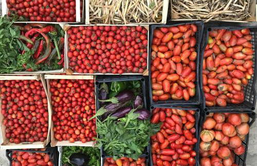 Agriturismo La Dimora dei Cavalieri - Photo 19