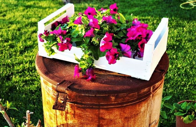 Masseria Costarella - Photo 73