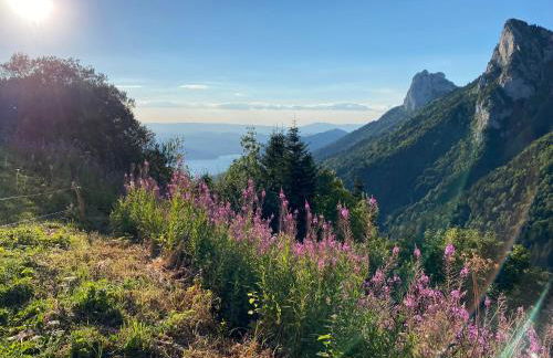 Grange rénovée, 6 minutes du Lac d'Annecy vue sur le Mont-Blanc - Foto 36