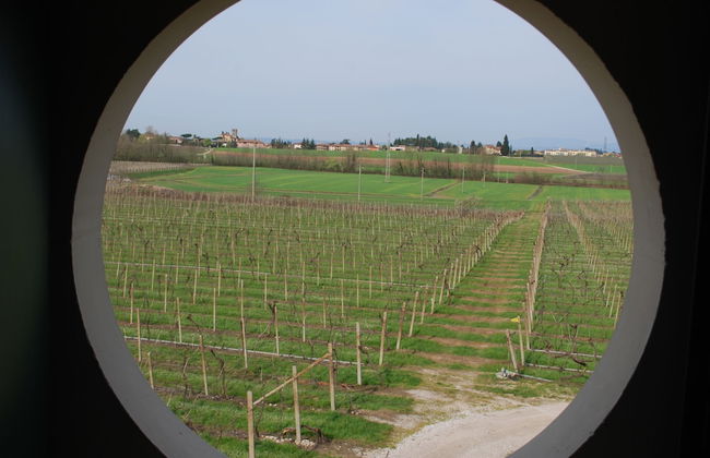 Agriturismo Bosco del Gal - Photo 56