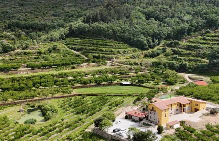 Quinta do Limite - Agroturismo - Foto 3