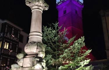 Le Beffroi - Foto 27