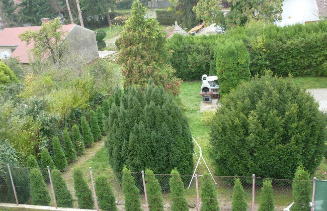 Vadásztanya Apartmanok - Foto 60