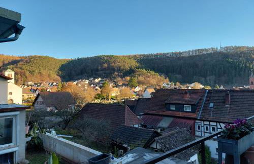 Ferienwohnung Unterm Rappenfels - Foto 26