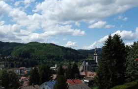 Hochschwarzwald Ferienwohnung - Foto 17