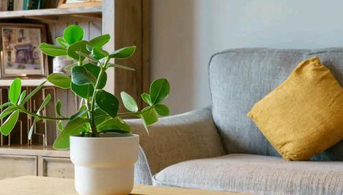 City Views Apartment - Foto 3