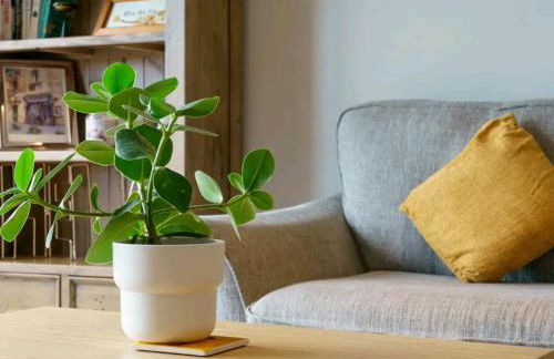 City Views Apartment - Foto 3