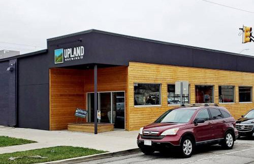 Orange Delite - Photo 22