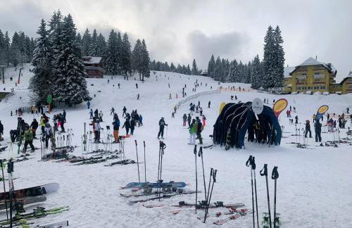 Ferienwohnung Traumwerk Titisee - Foto 31