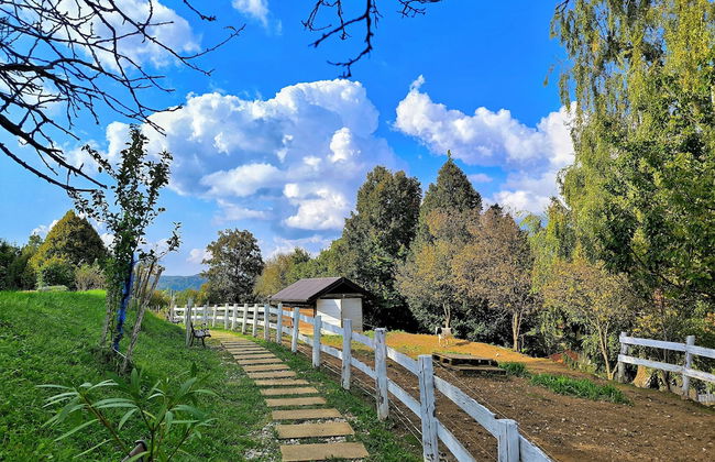 Room-guest Room in Croatia - Foto 20