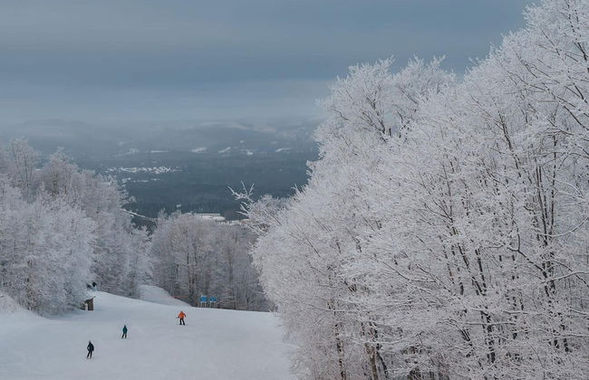 Naro Cabin in Laurentides - Foto 3