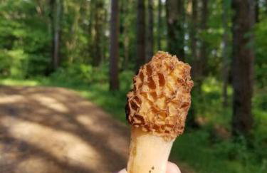 Smitten in da Mitten - 18 acres, Arcades, High Spd Web, Hot Tub, Pond! - Foto 42