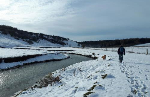 Greystones Lodge - Foto 43