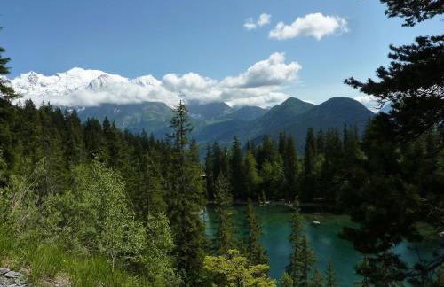 Les Edelweiss Mont-Blanc - Gîte Classé 3 Etoiles - Photo 40