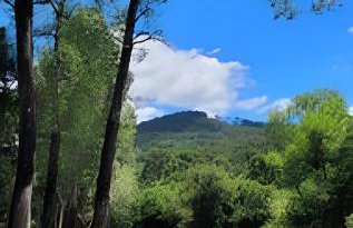 Cabana Pequeno Bosque Refúgio dás Águas - Foto 22