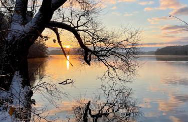 Reetdachhaus in Seenähe, Ruhige Lage, Kamin & Terrasse - Foto 49