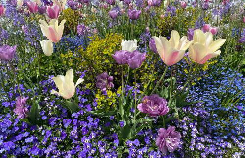 Schöne Wohnung in der Altstadt - Foto 68