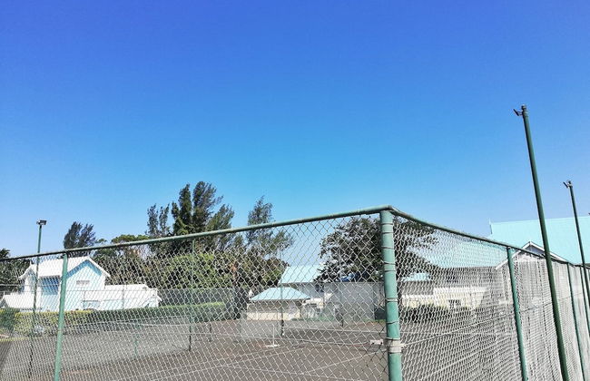 Caribbean Estate Deluxe - Photo 51