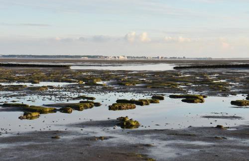 Fewo Nordseeblick - Foto 23