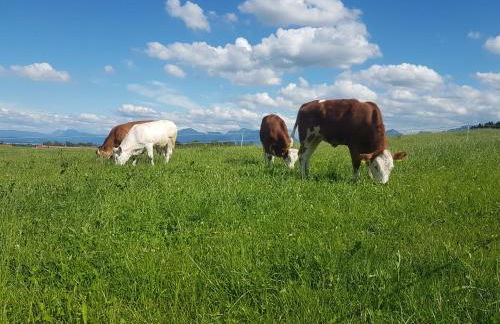 Gästehaus Annemarie - Foto 32