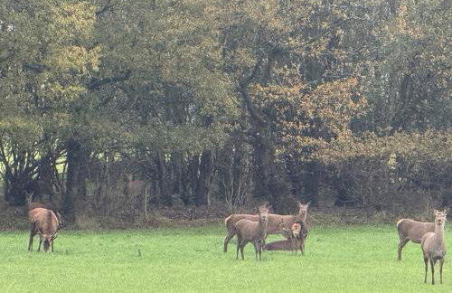 The Nook at Norton by GB Short Stays - Foto 36