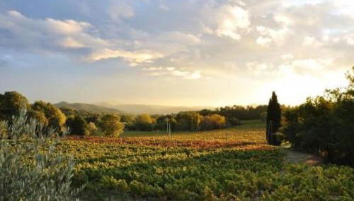 Holiday Home Haus der Olivenbäume by Interhome - Foto 2