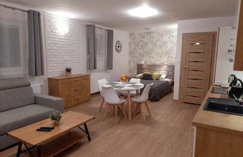 Willa Stara Chałpa - Foto 17